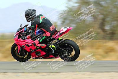 media/Mar-13-2022-SoCal Trackdays (Sun) [[112cf61d7e]]/Speed Shots/